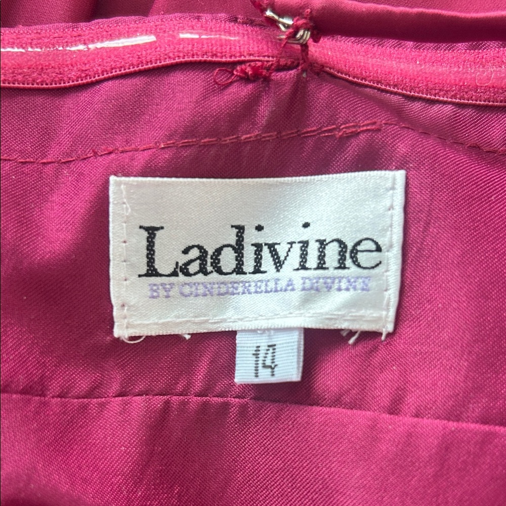 Ladivine Burgundy Gown - Picture 10 of 13